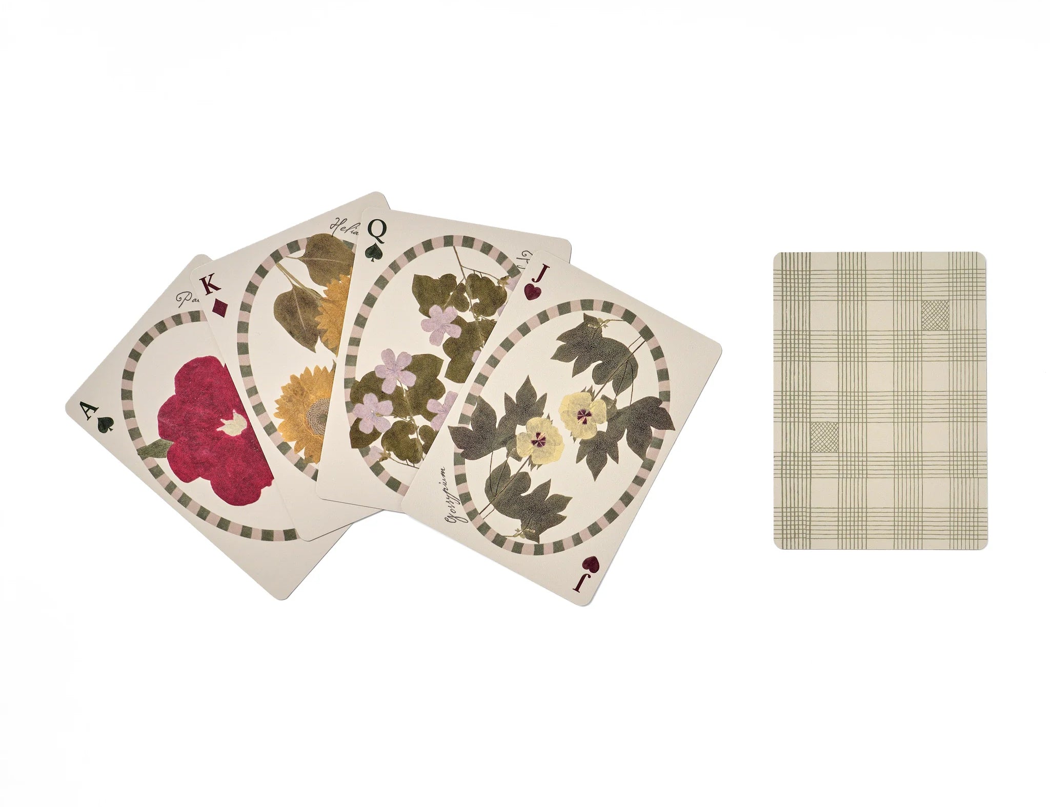 RoomyTown The Living Herbarium Playing Cards fanned out showing pressed flower face cards and a gingham back