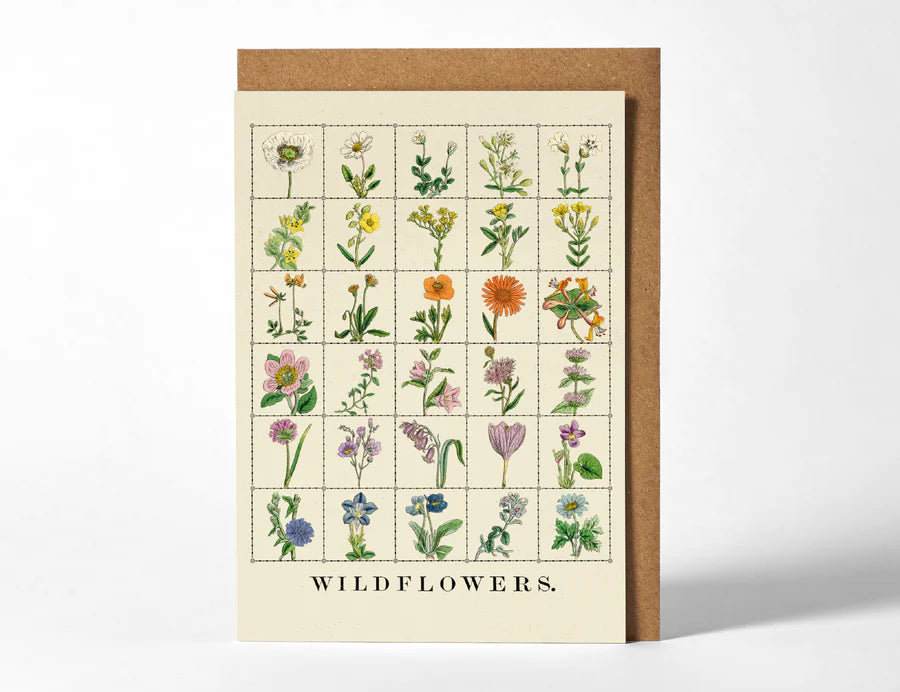 RoomyTown Wildflowers Greeting Card, a cream card with a grid of vintage wildflower illustrations and kraft envelope
