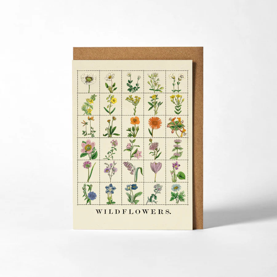 RoomyTown Wildflowers Greeting Card, a cream card with a grid of vintage wildflower illustrations and kraft envelope