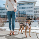 Woman walking a dog with the Sassy Woof Hands Free Rope Leash worn across her body
