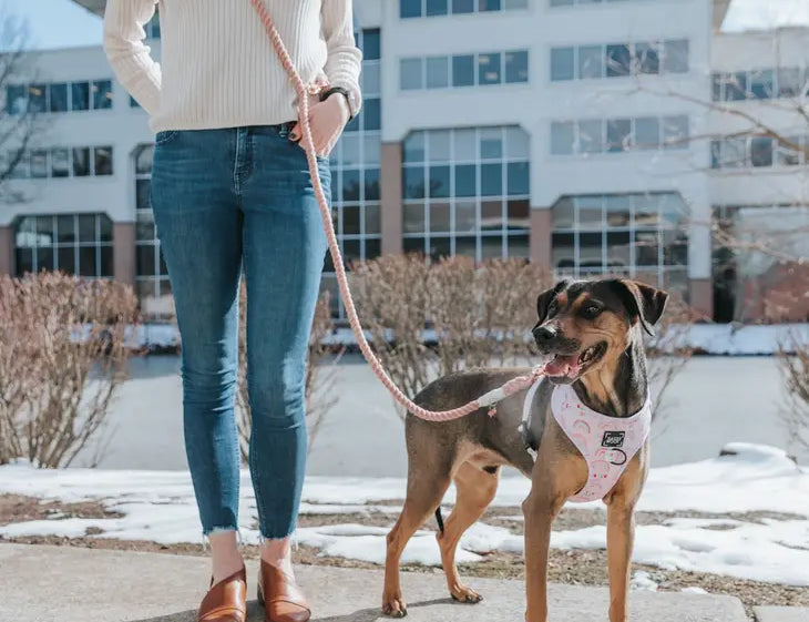 Woman walking a dog with the Sassy Woof Hands Free Rope Leash worn across her body