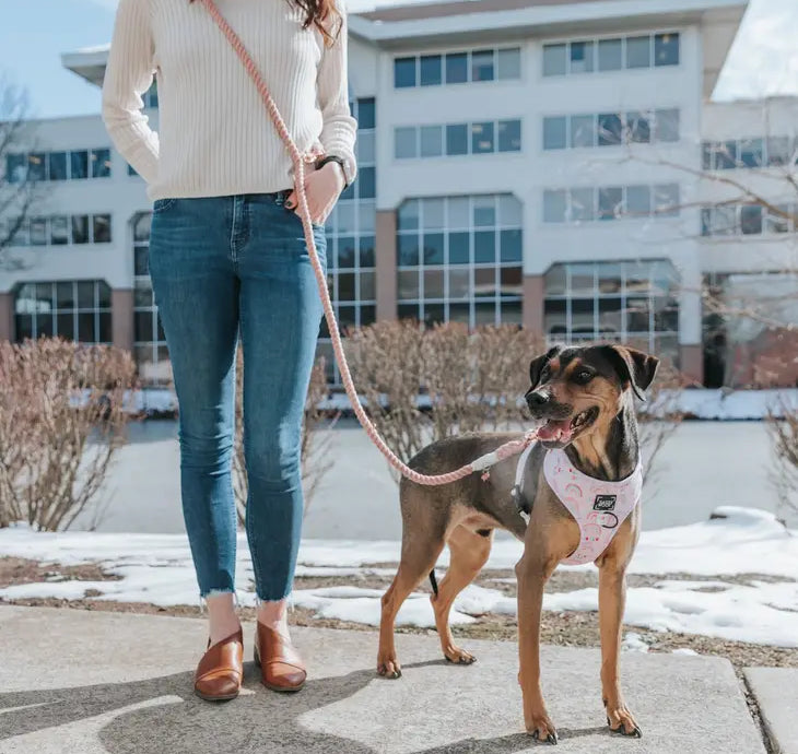 Woman walking a dog with the Sassy Woof Hands Free Rope Leash worn across her body