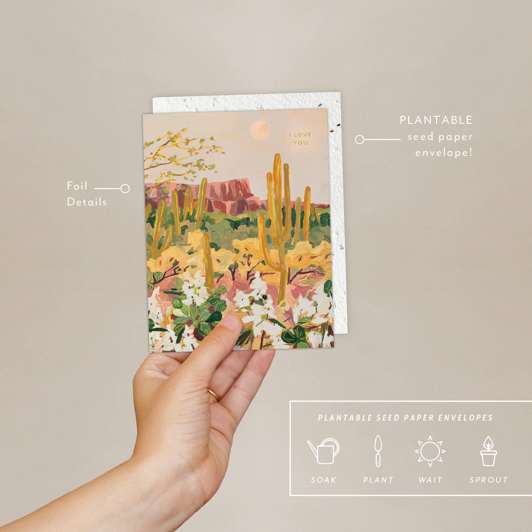Hand holding the Seedlings Desert Moonlight card with its plantable seed paper envelope and instructions