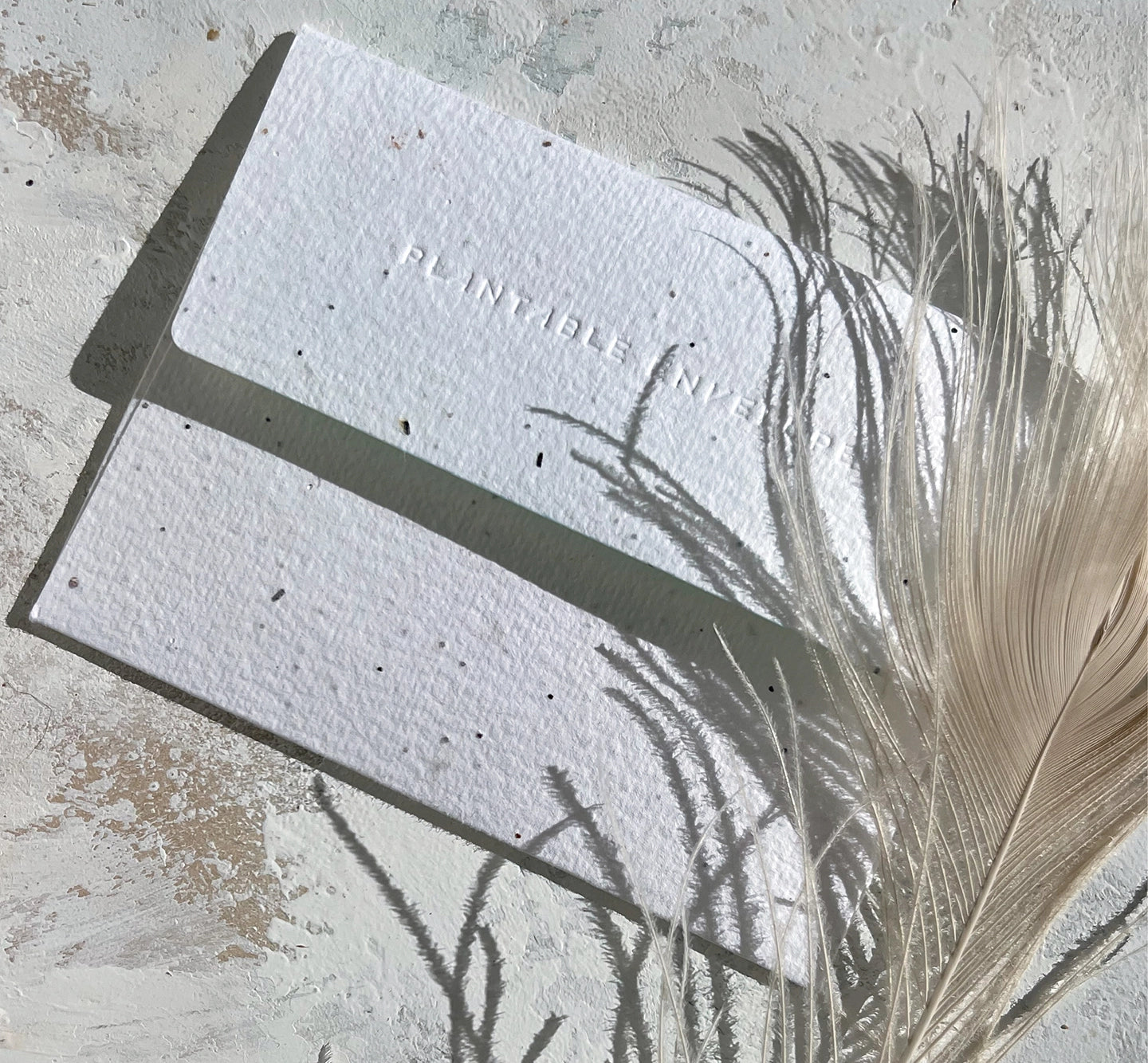 Seedlings plantable seed paper envelope with feathers and dried grass on a stone surface
