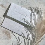 Seedlings plantable seed paper envelope with feathers and dried grass on a stone surface