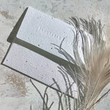 Seedlings plantable seed paper envelope with feathers and dried grass on a stone surface