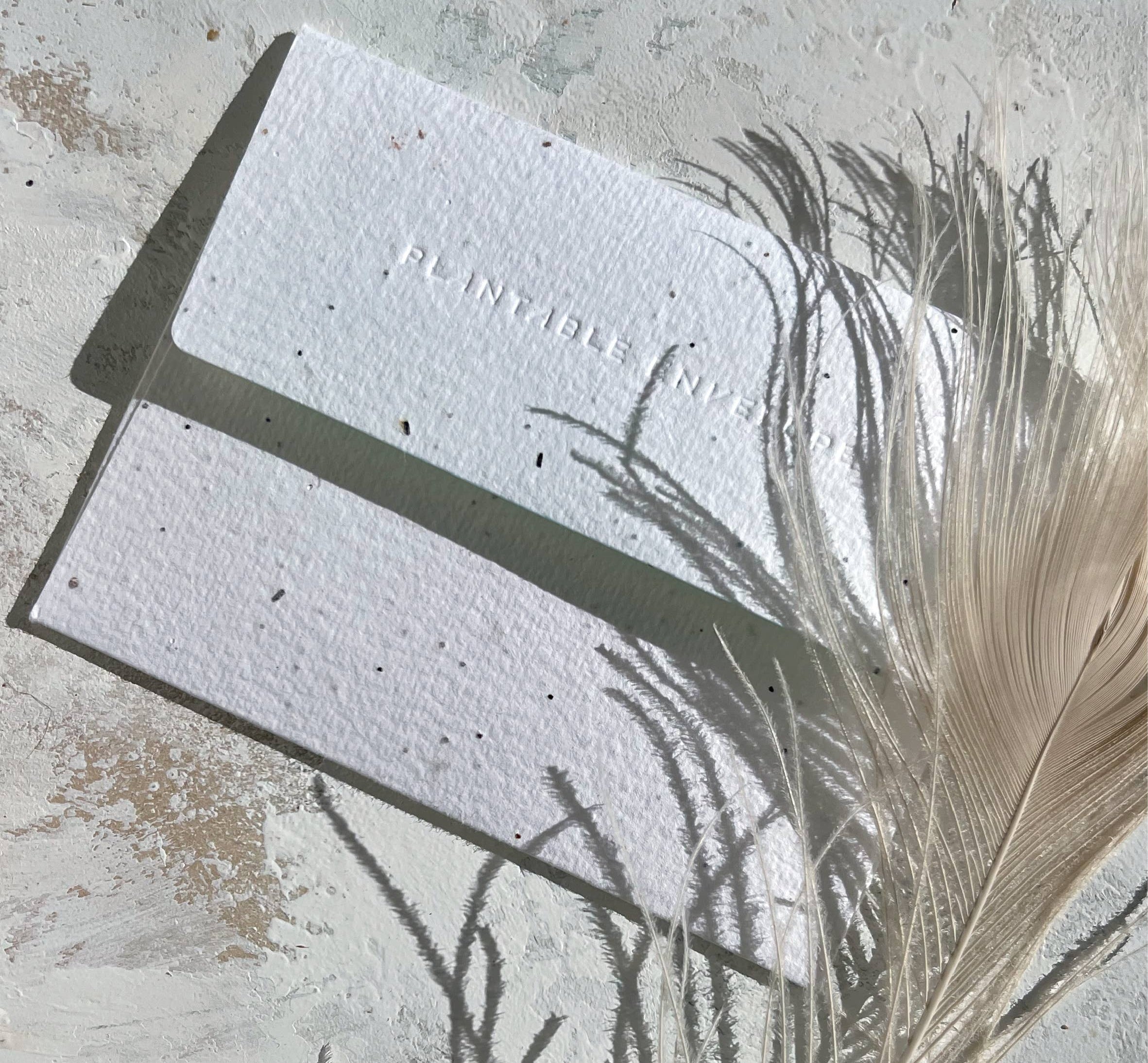 Seedlings plantable seed paper envelope with feathers and dried grass on a stone surface