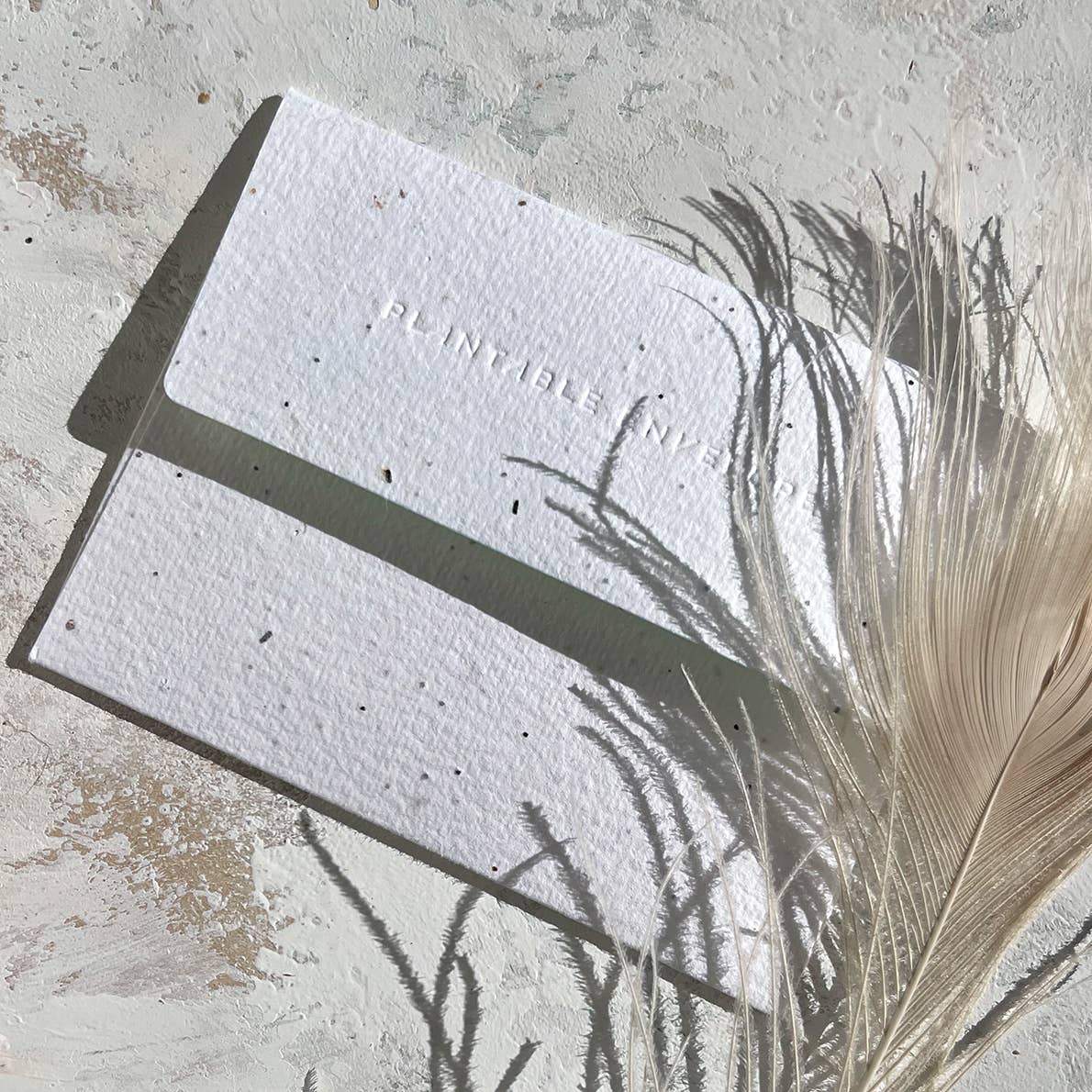 Seedlings plantable seed paper envelope with feathers and dried grass on a stone surface