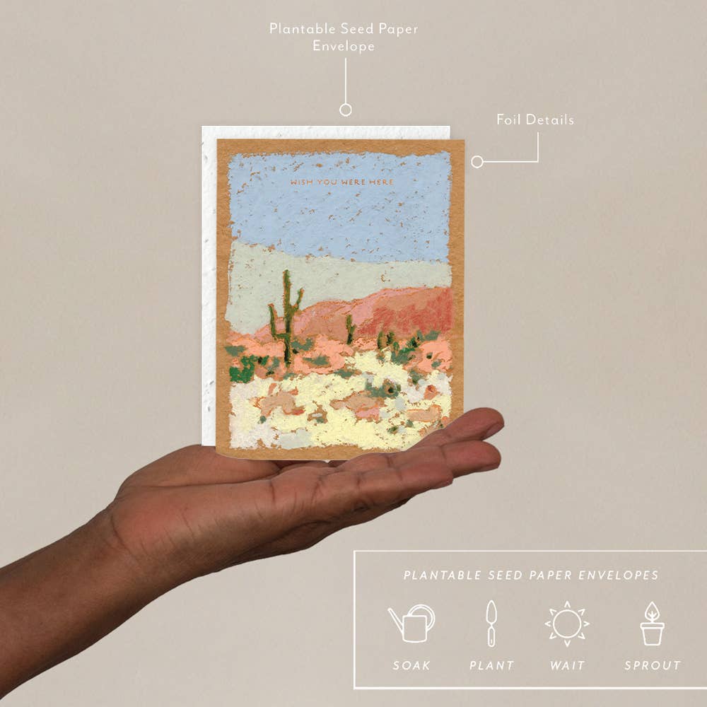 Hand holding the Seedlings Saguaros card with its plantable seed paper envelope and instructions