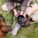 Two dogs drinking from the Springer 20 oz Dog Travel Water Bottle in Black on a grassy hillside