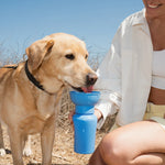 Yellow lab drinking from the Springer 20 oz Dog Travel Water Bottle in Blueberry at the beach