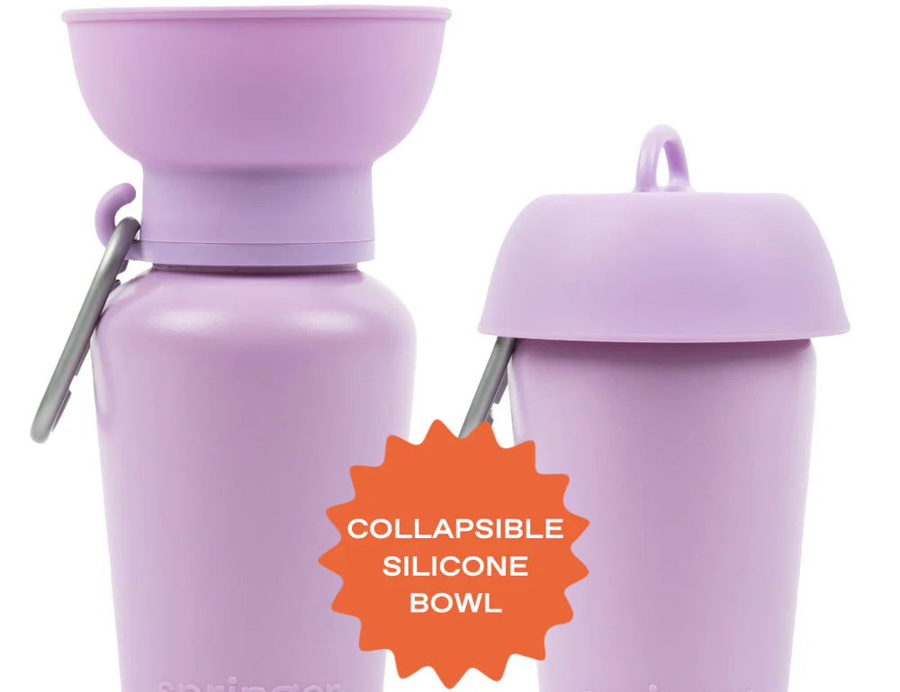 Springer 20 oz Dog Travel Water Bottle in Lilac, a purple flip bottle with a collapsible silicone bowl