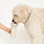 Fluffy white doodle drinking from the Springer 20 oz Dog Travel Water Bottle in Oat