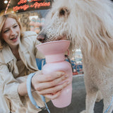 Fluffy dog drinking from the Springer 22 oz Classic Travel Bottle in Cotton Candy pink held by its owner