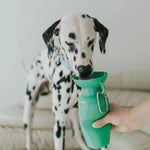 Dalmatian drinking from the Springer 22 oz Classic Travel Bottle in Green