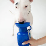White bull terrier drinking from the Springer 22 oz Classic Travel Bottle in Indigo