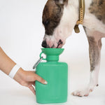 Dog drinking from the Springer Growler 44 oz Dog Travel Water Bottle in Green held by its owner