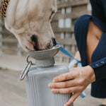 White dog drinking from the Springer Growler 44 oz Dog Travel Water Bottle in Grey held by its owner