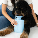 Black doodle drinking from the Springer Growler 44 oz Dog Travel Water Bottle in Sky Blue