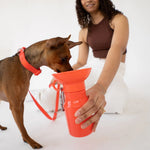 Small brown dog drinking from the Springer Mini Travel Bottle in Poppy held by a woman