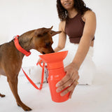 Small brown dog drinking from the Springer Mini Travel Bottle in Poppy held by a woman