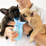 Man holding two French bulldog puppies, one drinking from the Springer Mini Travel Bottle in Sky Blue