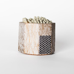 Tenn Prairie Concrete Match Holder in Grey & Gold with gray-tipped matches and a side striker