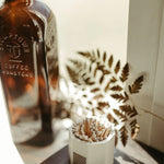 Tenn Prairie Concrete Match Holder in white on a windowsill with a fern and a glass bottle