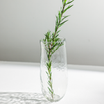 The Collective Pebbled Tall Vase holding a sprig of rosemary on white