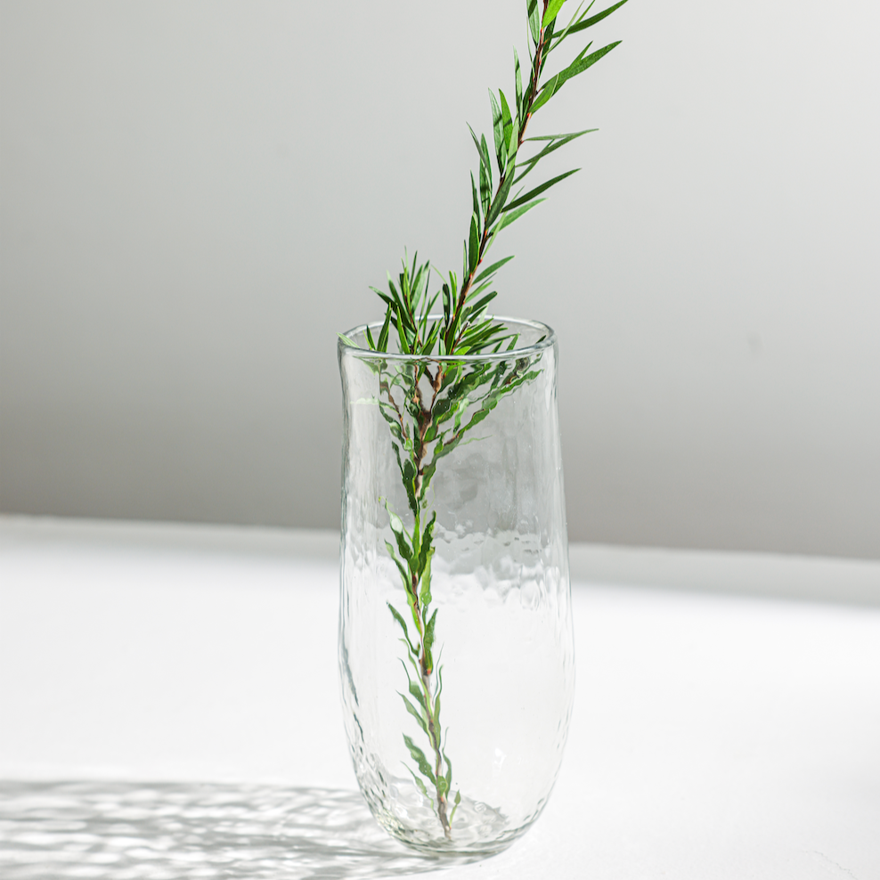 The Collective Pebbled Tall Vase holding a sprig of rosemary on white