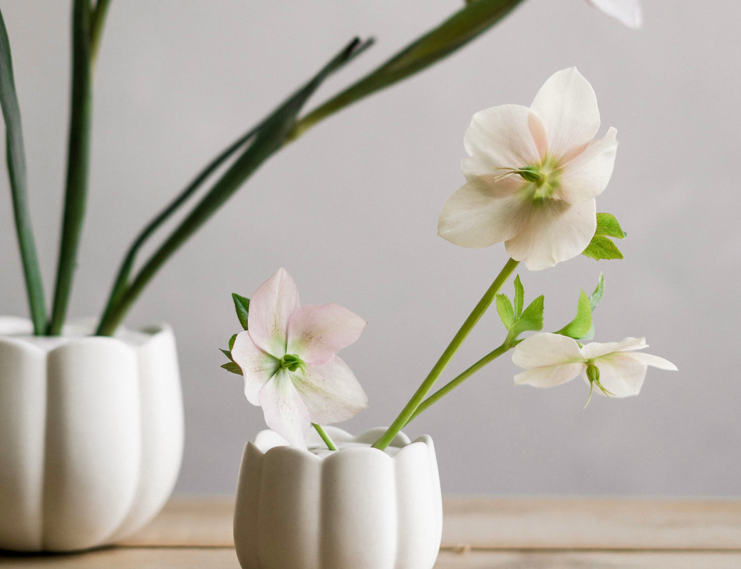 The Floral Society Ceramic Flower Frog Vases in white holding single hellebore stems on a wooden table