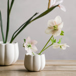 The Floral Society Ceramic Flower Frog Vases in white holding single hellebore stems on a wooden table