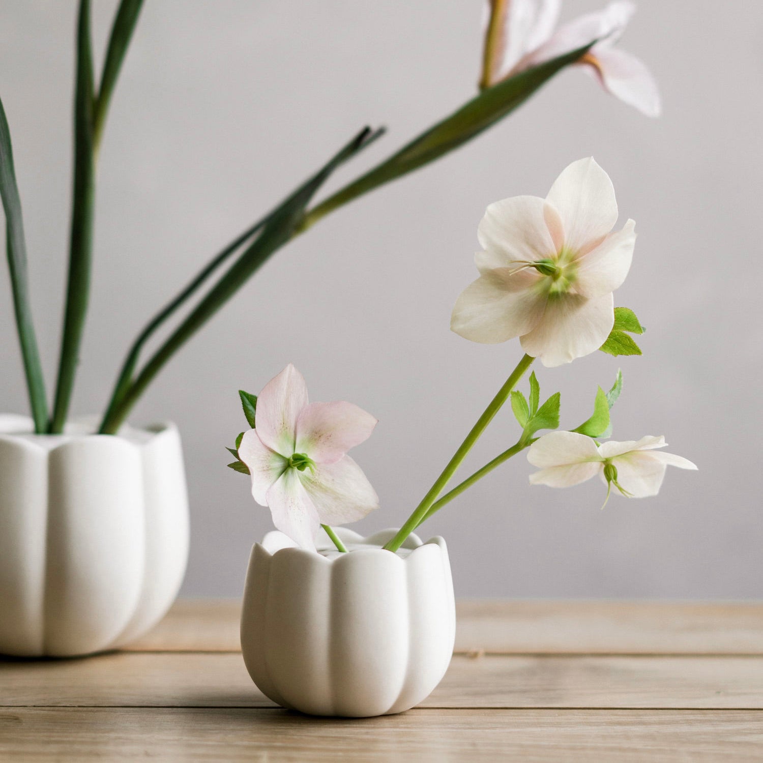 The Floral Society Ceramic Flower Frog Vases in white holding single hellebore stems on a wooden table