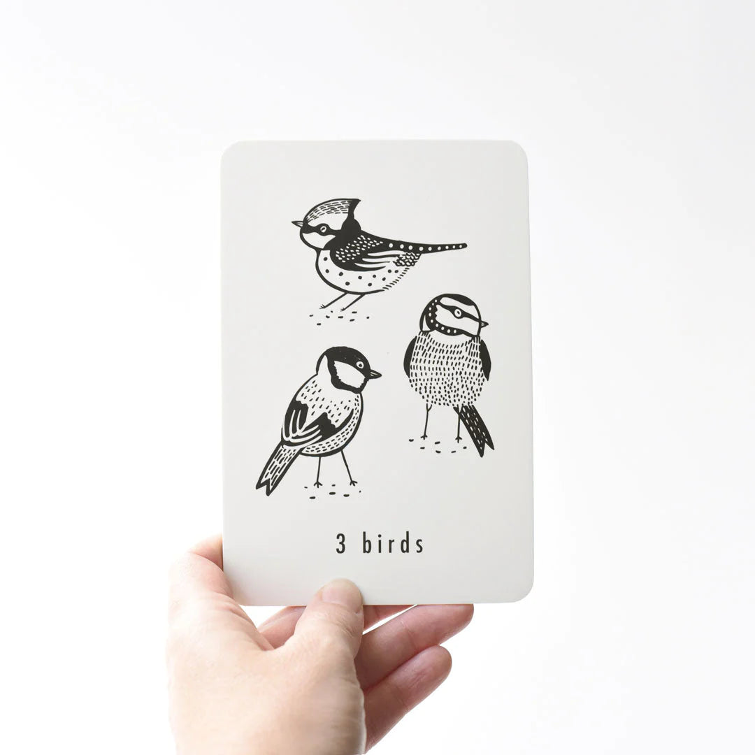 Hand holding a Wee Gallery Nature Number Card showing three illustrated birds