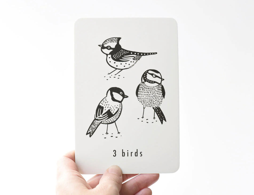 Hand holding a Wee Gallery Nature Number Card showing three illustrated birds