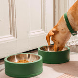 Wild One Dog Bowl, fourth view, a dog eating from two spruce green bowls