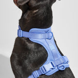 Close-up of the Wild One Dog Harness in Moonstone blue on a black dog, back view
