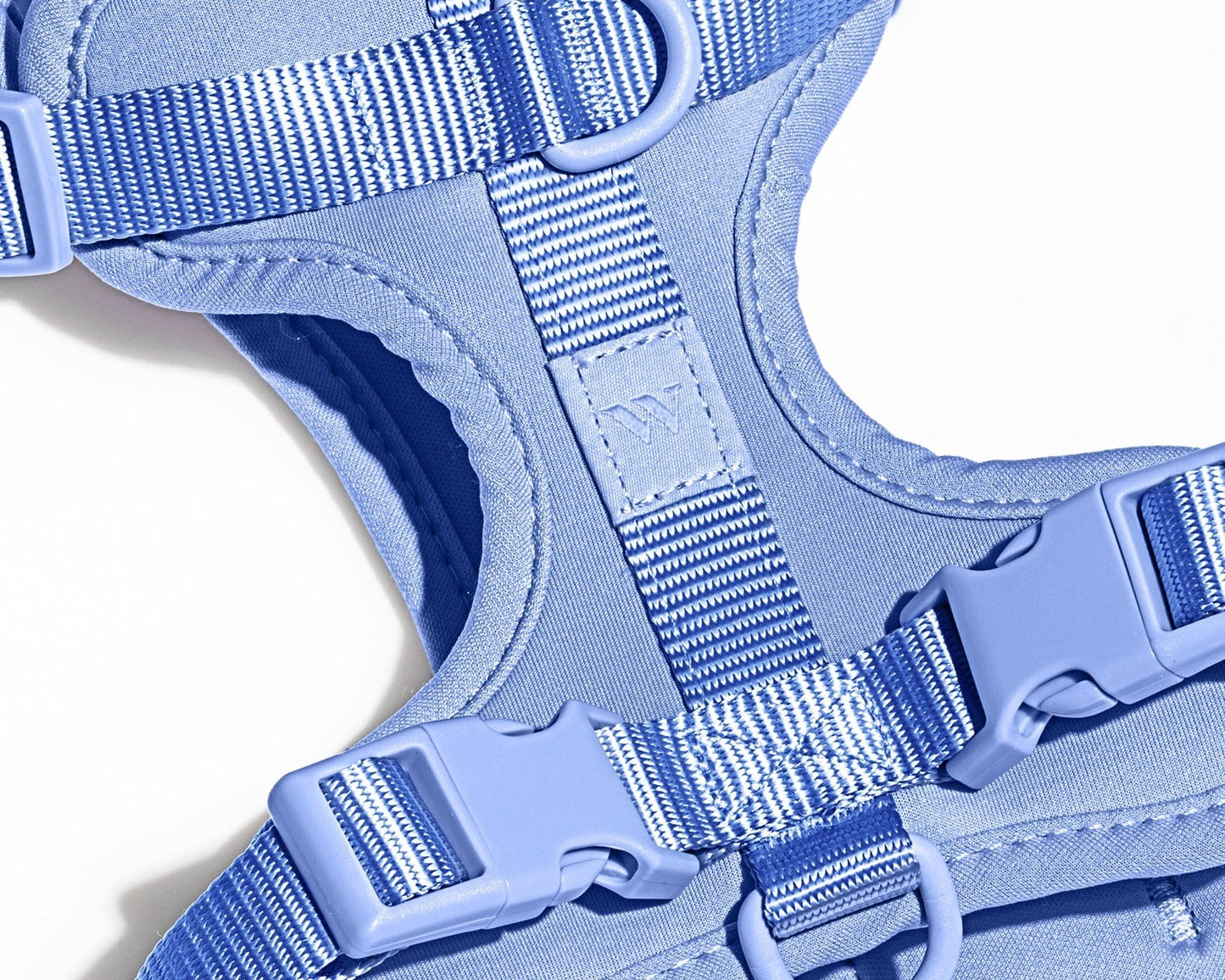 Close-up of the webbing, buckle and D-ring on the Wild One Dog Harness in Moonstone blue