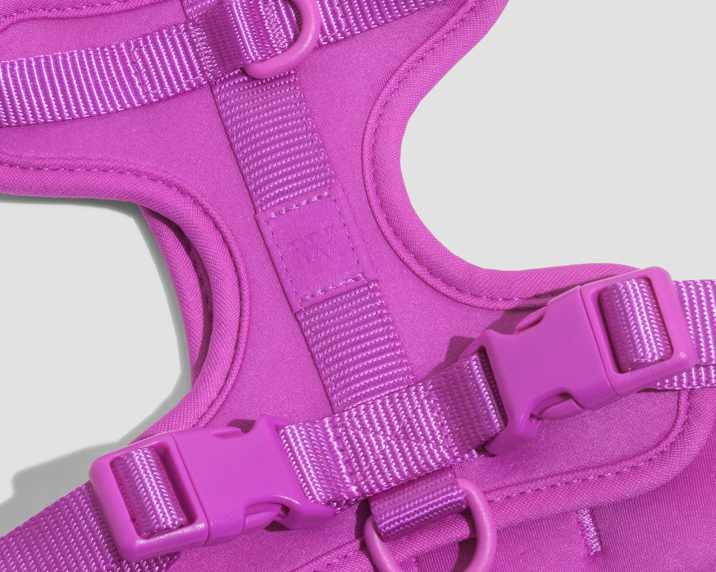 Close-up of the webbing, buckle and D-ring on the Wild One Dog Harness in Orchid magenta