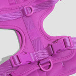 Close-up of the webbing, buckle and D-ring on the Wild One Dog Harness in Orchid magenta