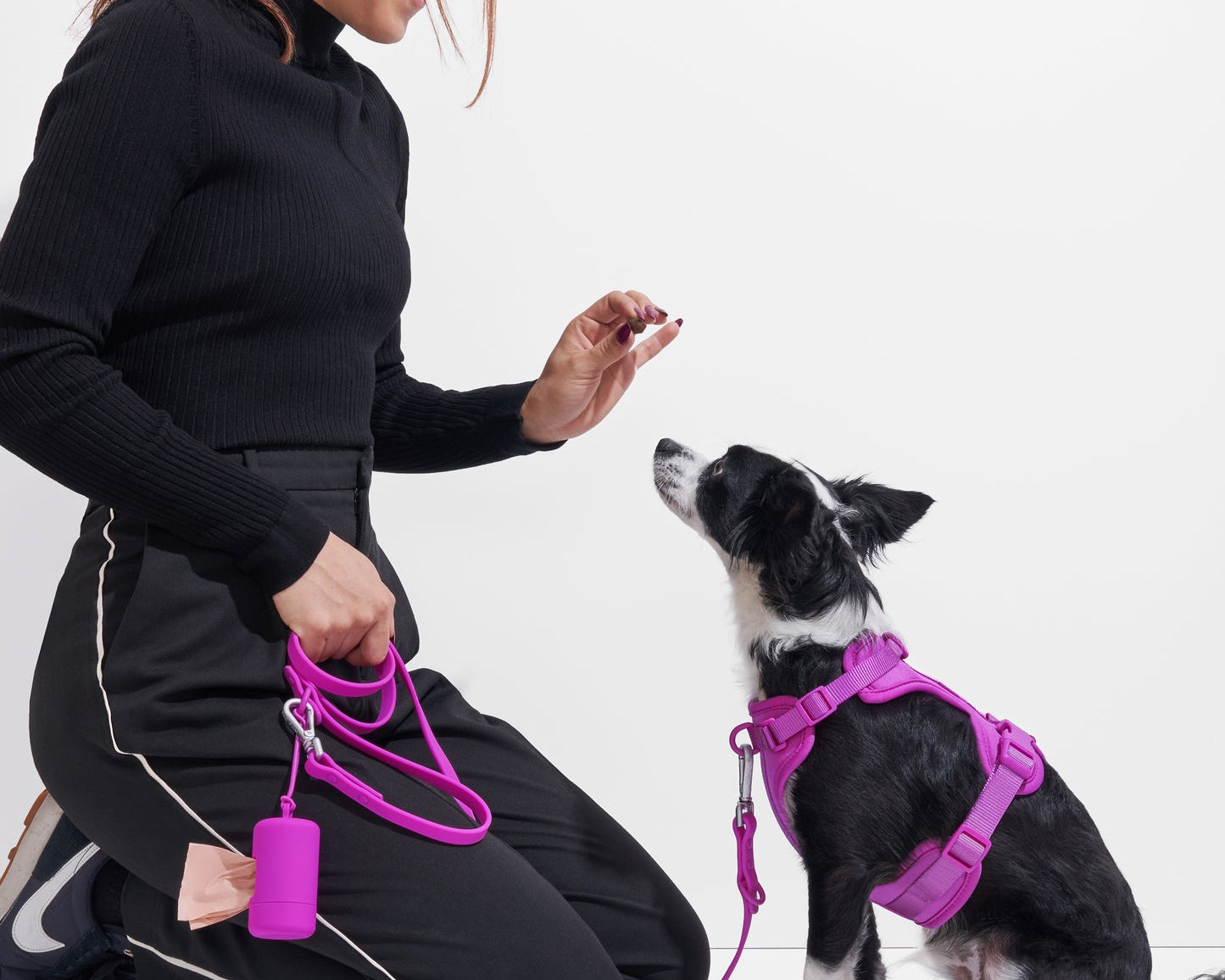 Woman kneeling to give a treat to a small dog wearing the Wild One Dog Harness in Orchid magenta