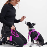 Woman kneeling to give a treat to a small dog wearing the Wild One Dog Harness in Orchid magenta