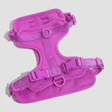 Wild One Dog Harness in Orchid, a magenta padded adjustable harness, laid flat