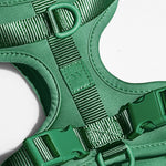 Close-up of the webbing, buckle and D-ring on the Wild One Dog Harness in Spruce green