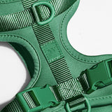 Close-up of the webbing, buckle and D-ring on the Wild One Dog Harness in Spruce green