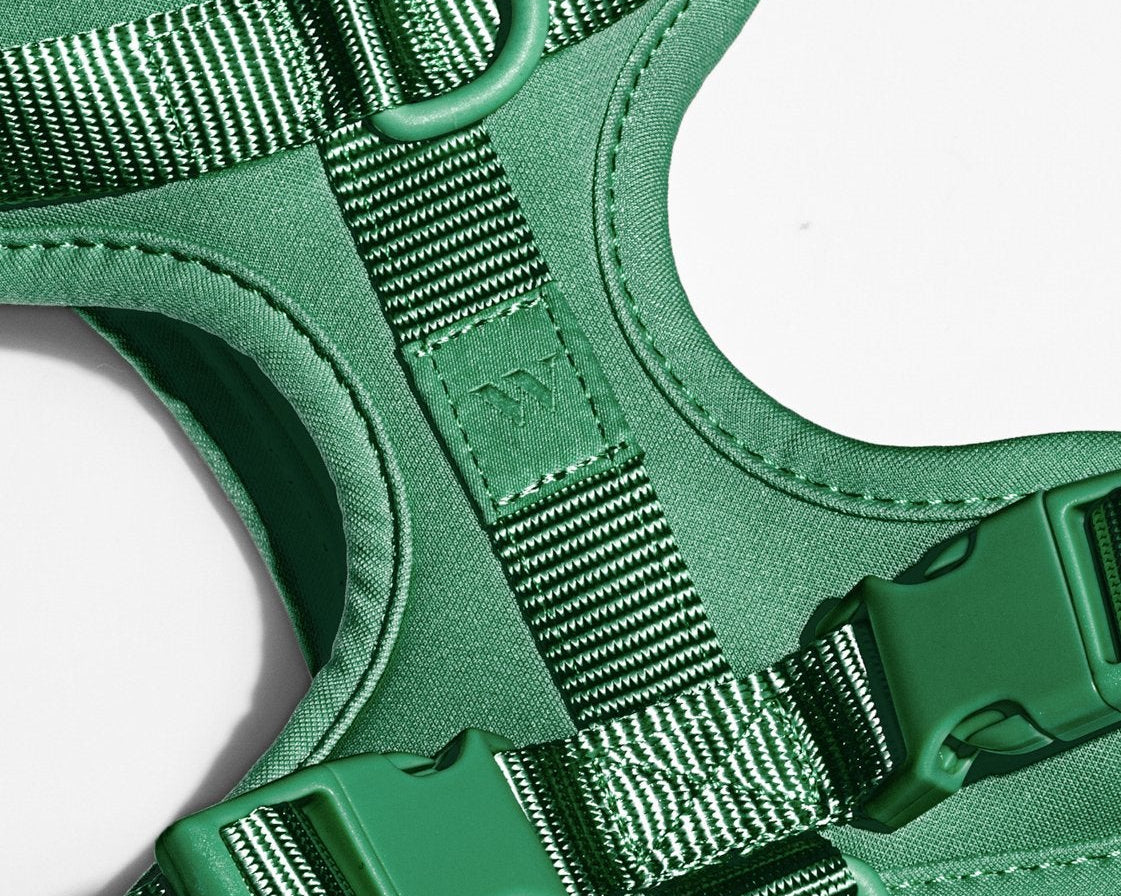 Close-up of the webbing, buckle and D-ring on the Wild One Dog Harness in Spruce green