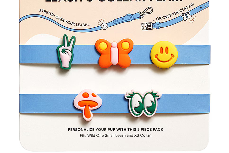 Wild One Groovy Small Flair Charms, a five-piece pack of silicone leash and collar charms on its card