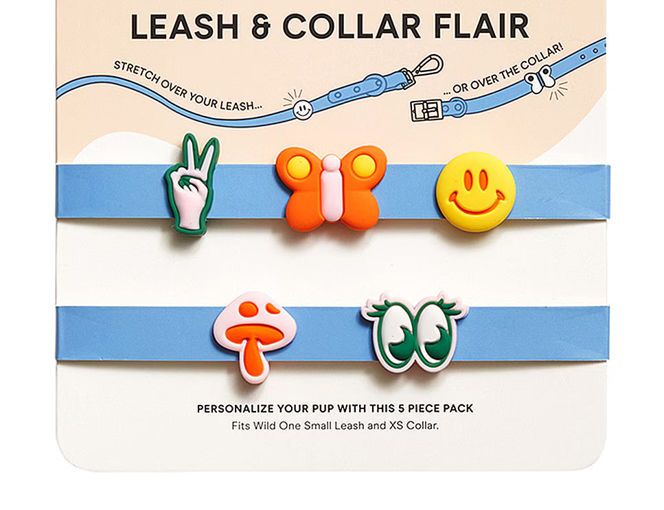 Wild One Groovy Small Flair Charms, a five-piece pack of silicone leash and collar charms on its card
