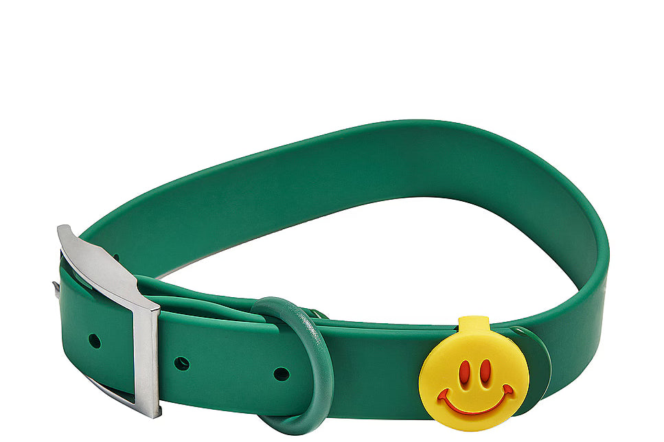 Green Wild One collar with a yellow smiley Groovy Flair Charm, angled view