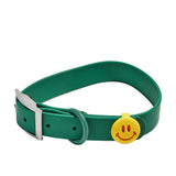 Green Wild One collar with a yellow smiley Groovy Flair Charm, front view